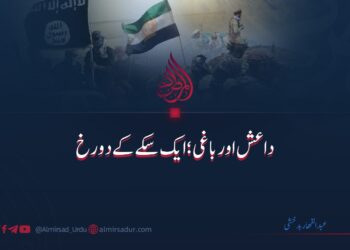 داعش اورباغی: ایک سکے کے دو رخ