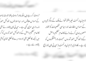 پاکستان نے پشاور اور اس سے ملحقہ علاقوں میں داعش کے تربیتی مراکز کے وجود کا اعتراف کرلیا