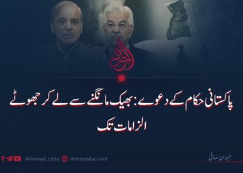 پاکستانی حکام کے دعوے: بھیک مانگنے سے لے کر جھوٹے الزامات تک