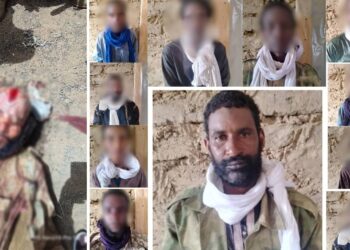 مالی میں ایک داعشی کمانڈر ہلاک، دوسرا فوج کے آگے سرینڈر ہوچکا ہے