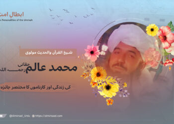 شیخ القرآن والحدیث مولوی محمد عالم حقانی رحمہ اللہ کی زندگی اور کارناموں کا مختصر جائزہ