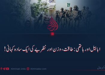 ابابیل اور ہاتھی: طاقت، وزن اور نظریے کی ایک سادہ کہانی!