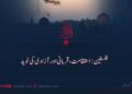 فلسطین: استقامت، قربانی اور آزادی کی نوید