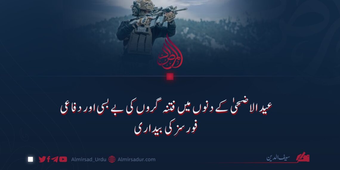 عید الاضحیٰ کے دنوں میں فتنہ گروں کی بے بسی اور دفاعی فورسز کی بیداری
