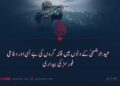 عید الاضحیٰ کے دنوں میں فتنہ گروں کی بے بسی اور دفاعی فورسز کی بیداری