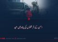 امن کے فرشتوں کی پناہ میں عید