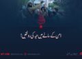 امن کے سائے میں عید کی رونقیں!