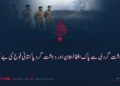 دہشت گردی سے پاک افغانستان اور دہشت گرد پاکستانی فوج کی بے بسی