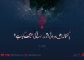 پاکستان میں بیرونی اثر و رسوخ کی حقیقت کیا ہے؟ پہلی قسط