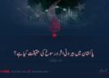 پاکستان میں بیرونی اثر و رسوخ کی حقیقت کیا ہے؟ دوسری قسط