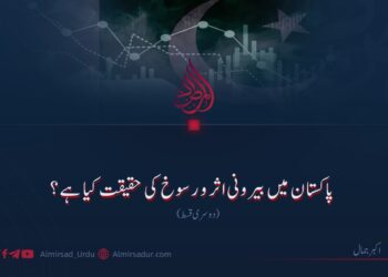 پاکستان میں بیرونی اثر و رسوخ کی حقیقت کیا ہے؟ دوسری قسط