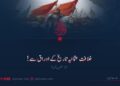 خلافت عثمانیہ تاریخ کے اوراق سے! اڑسٹھویں قسط