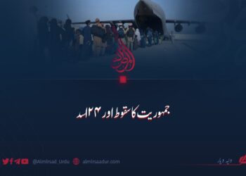 جمہوریت کا سقوط اور ۲۴ اسد