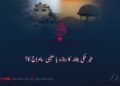 غیر ملکی یلغار کا جنازہ یا صلیبی سامراج کا؟