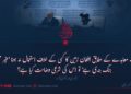 دوحہ معاہدے کے مطابق افغان زمین کا کسی کے خلاف استعمال نہ ہونا ‘غیر معین جنگ بندی ہے’ تو اس کی شرعی وضاحت کیا ہے؟ تیسری اور آخری قسط
