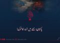 پاکستان؛ خطے میں فساد کا محرک!