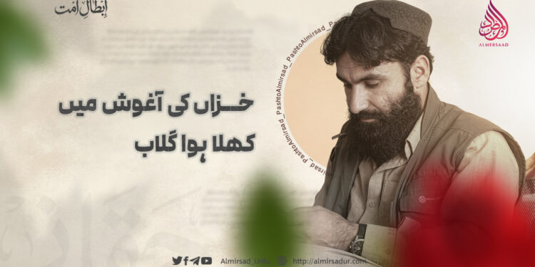 خزاں کی آغوش میں کھلا ہوا گلاب