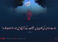 امارت اسلامیہ کی کامیابیاں حقیقت کے آئینے میں اور الزامات کا رد!  پہلی قسط