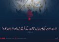 امارت اسلامیہ کی کامیابیاں حقیقت کے آئینے میں اور الزامات کا رد! دوسری قسط