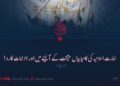 امارت اسلامیہ کی کامیابیاں حقیقت کے آئینے میں اور الزامات کا رد!  تیسری قسط