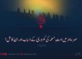 عصرِ حاضر میں امتِ مسلمہ کی کمزوری کے اسباب اور ان کا حل! تیرہویں قسط