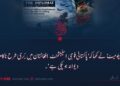 ‘دی ڈپلومیٹ’ نے لکھا کہ ‘پاکستانی فوجی اسٹیبلشمنٹ افغانستان میں بُری طرح ناکام ہو کر دیوانہ ہو چکی ہے’۔