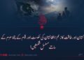 پاکستان اور طاقت کا زعم: افغانستان کی حکومت اور قوم کے پختہ عزم کے سامنے مسلسل شکستیں!