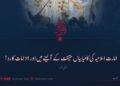 امارت اسلامیہ کی کامیابیاں حقیقت کے آئینے میں اور الزامات کا رد! چھٹی قسط