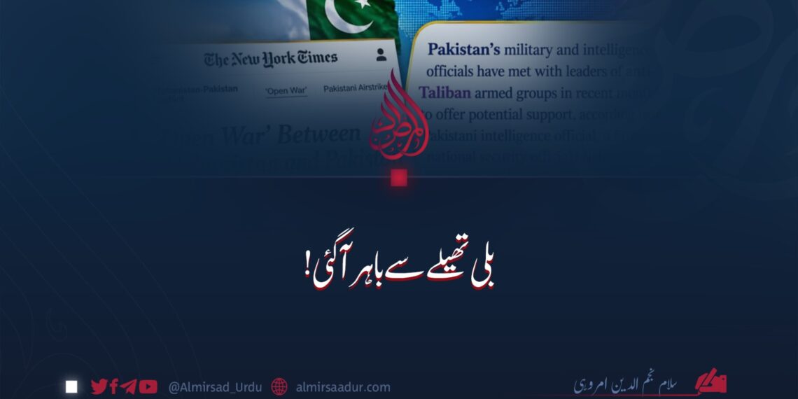 بلی تھیلے سے باہر آگئی!
